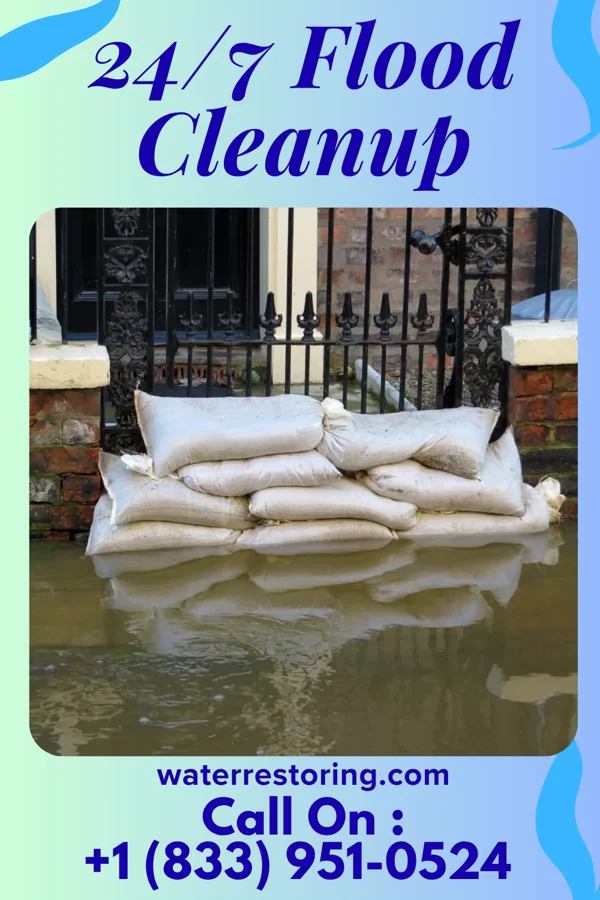 24/7 Flood Cleanup in Portsmouth, IA