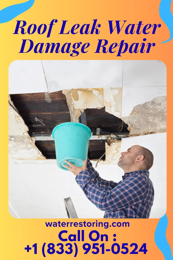 Roof Leak Water Damage Repair in Portsmouth, IA